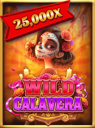 Dragon Tiger live casino cover